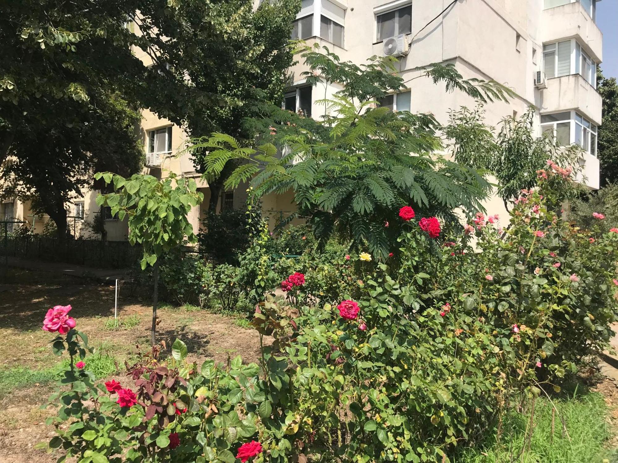 Apartament Langa Plaja Diana マンガリア エクステリア 写真