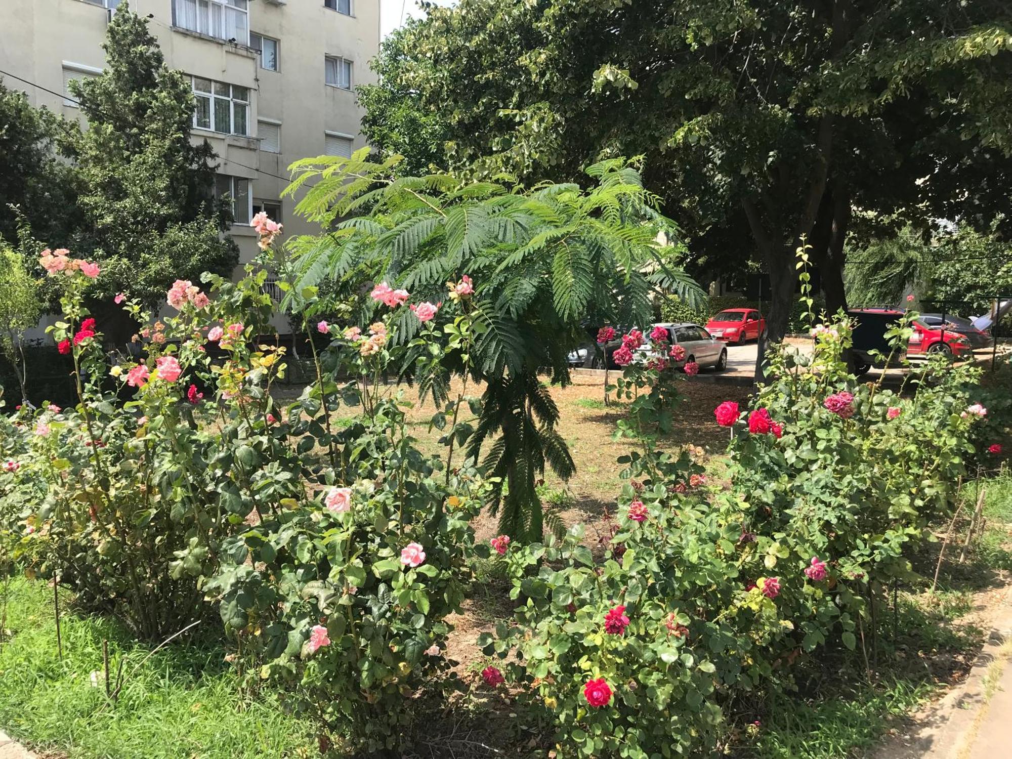 Apartament Langa Plaja Diana マンガリア エクステリア 写真